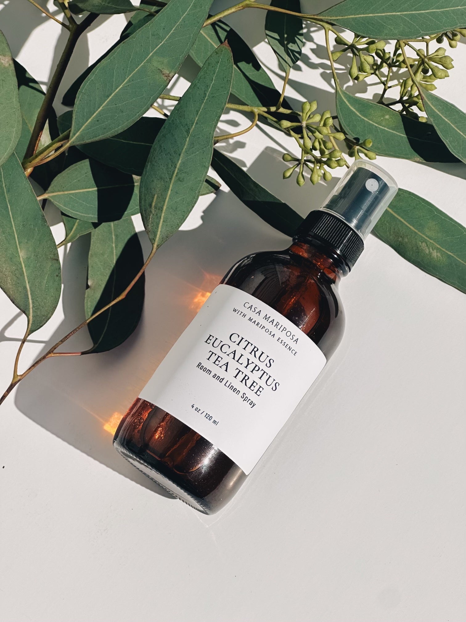 Citrus Eucalyptus Room and Linen Spray displayed with Eucalyptus plant