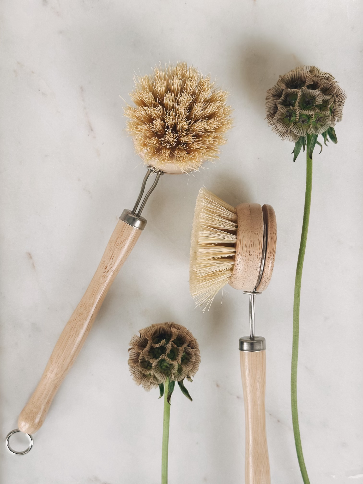 Long handle dish brush displayed with plants