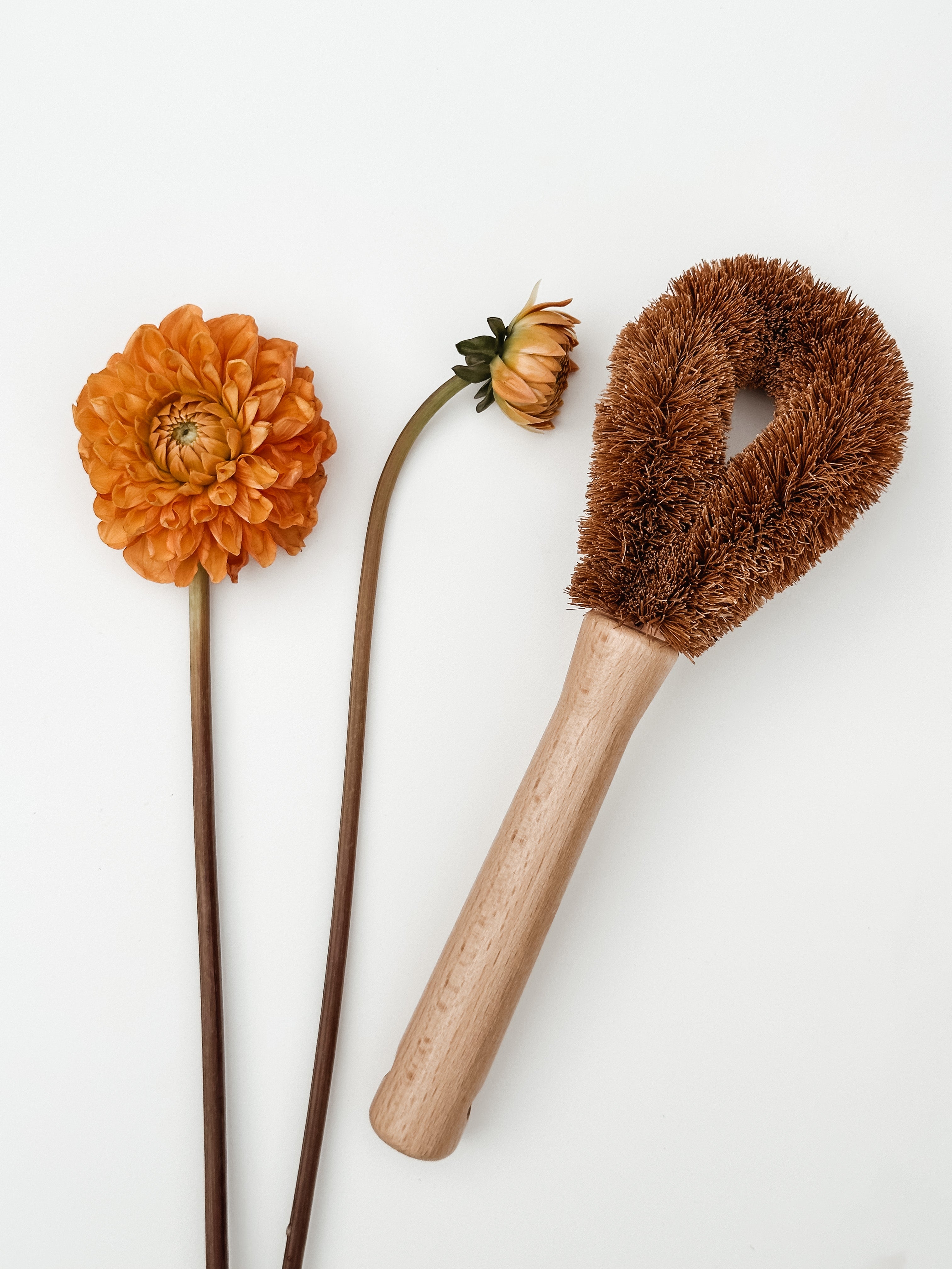 Pot Brush