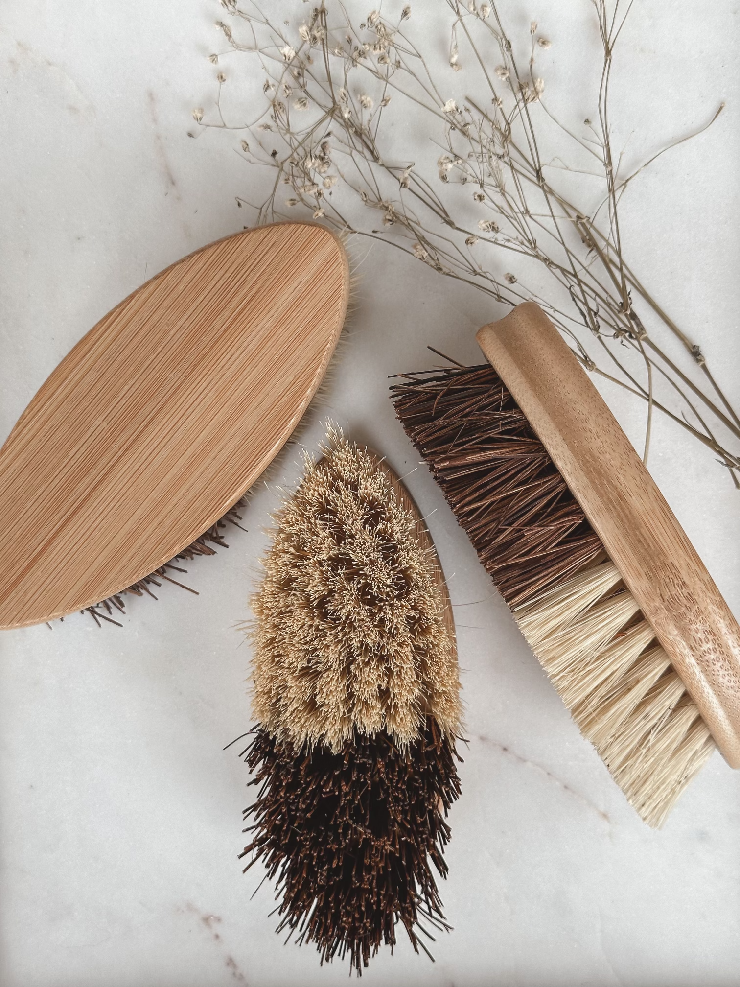 Oval coconut brush
