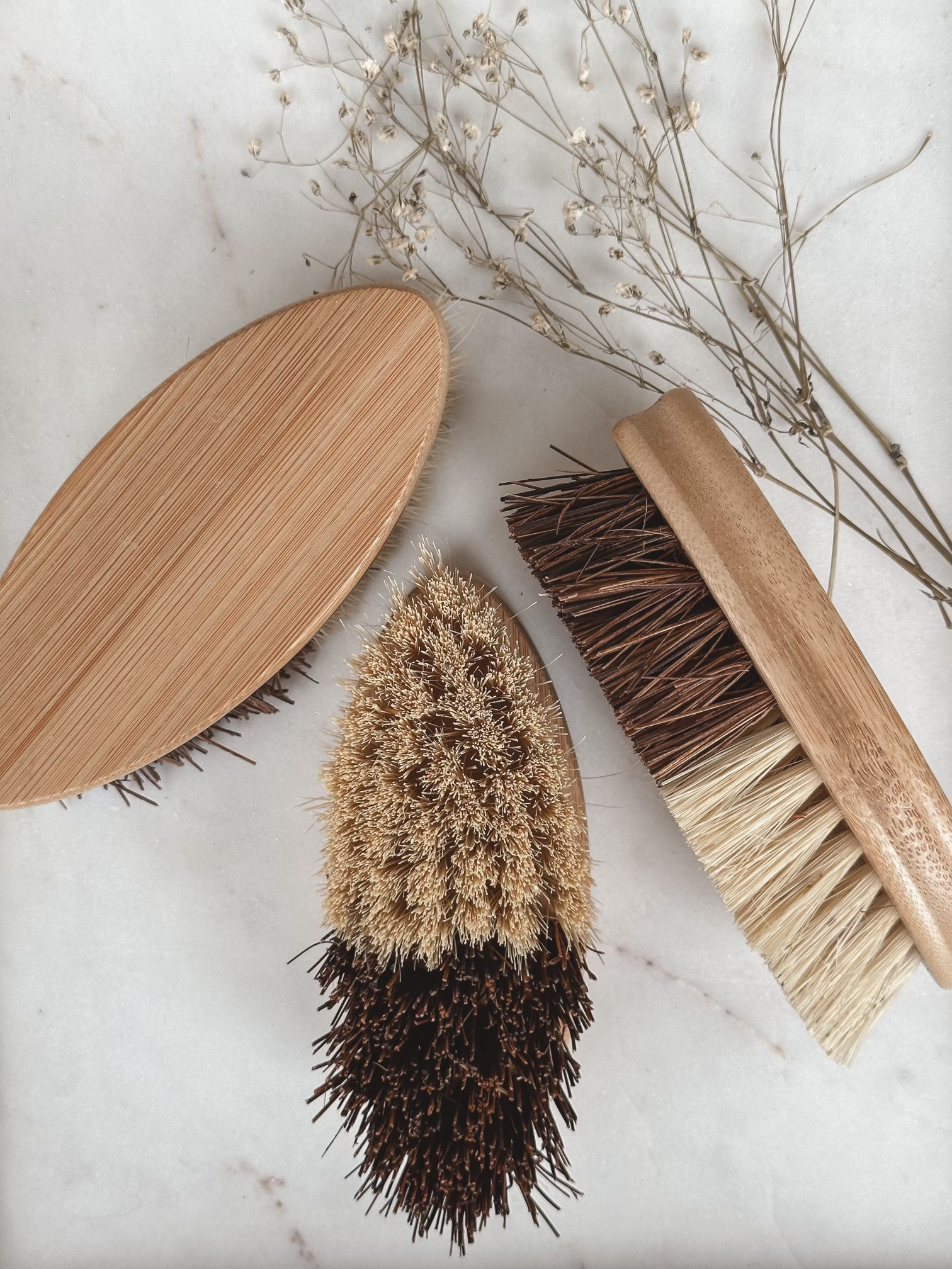 Oval coconut brush 