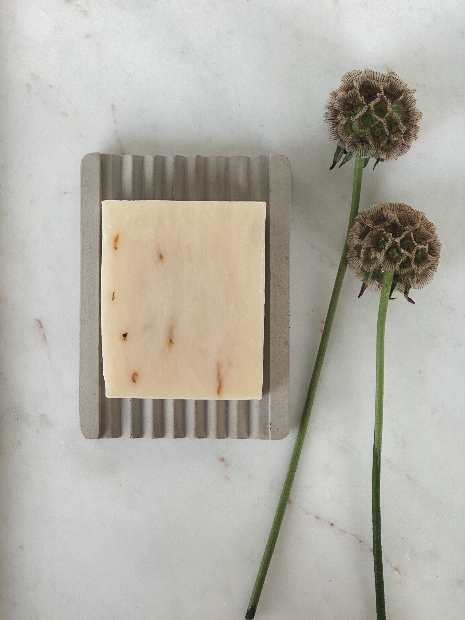 Ridge soap dish displayed with soap