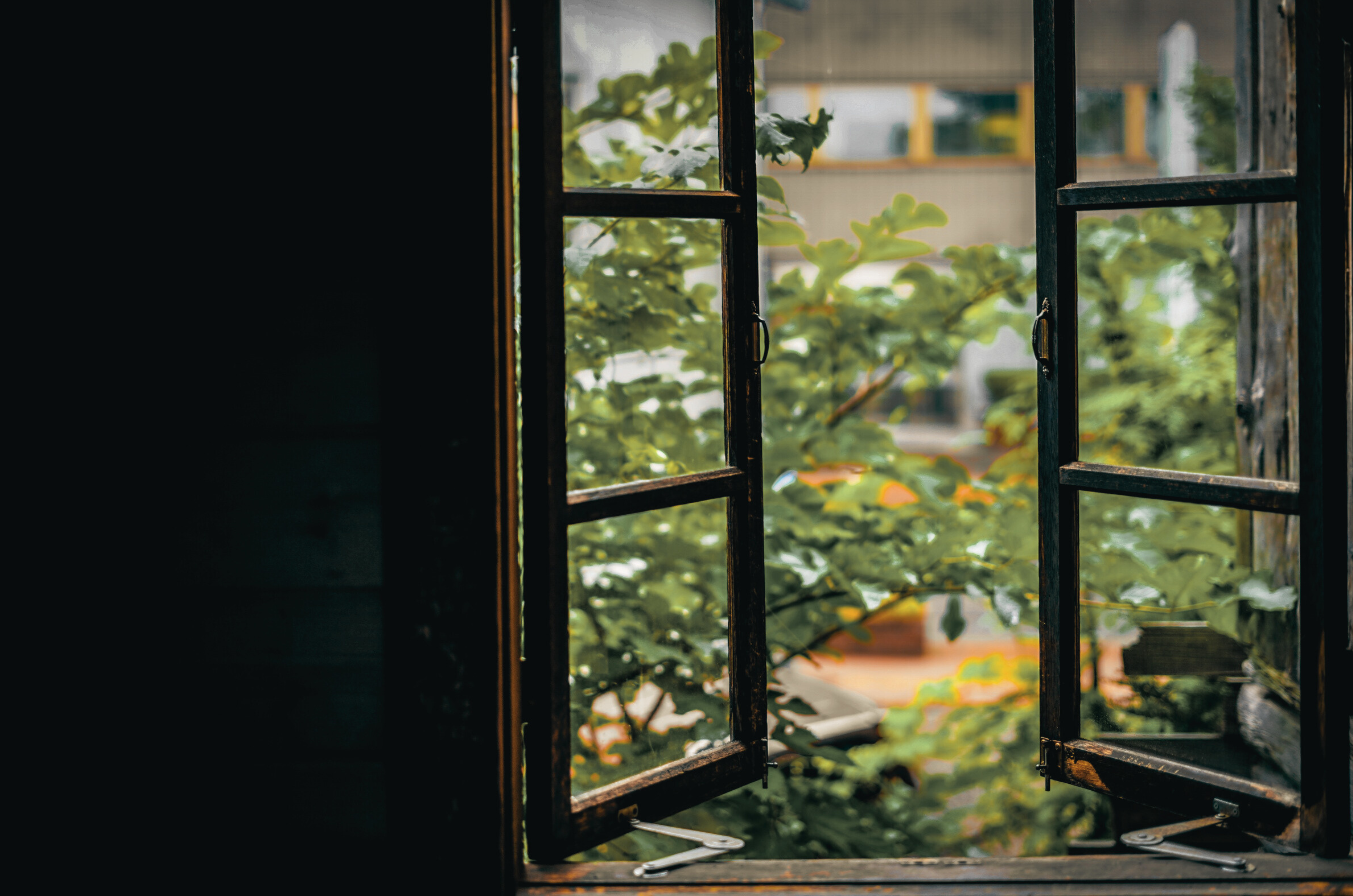 Open window with view of greenery outside