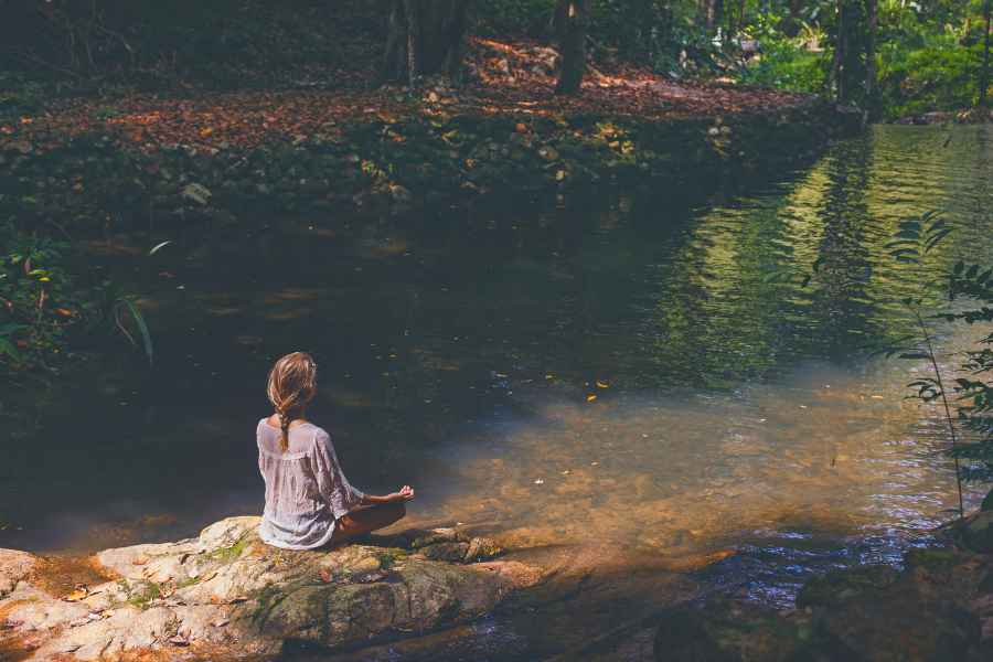 Wellness